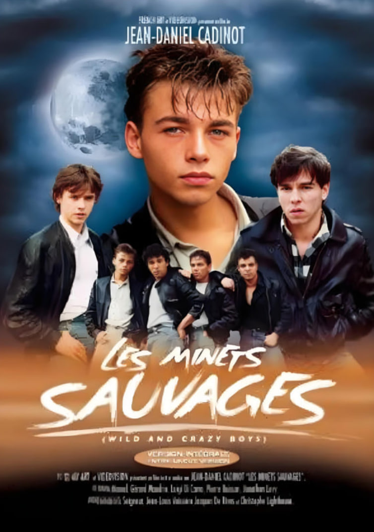 流浪爱侣(全集)