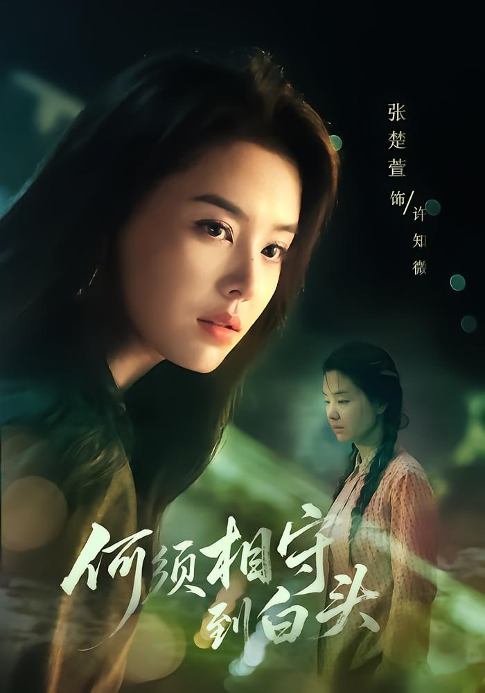 何须相守到白头(全集)