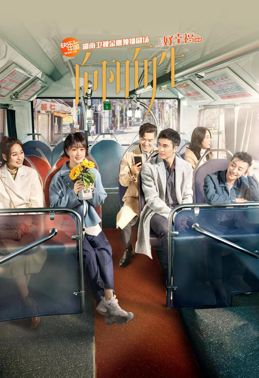 向阳而生(全集)