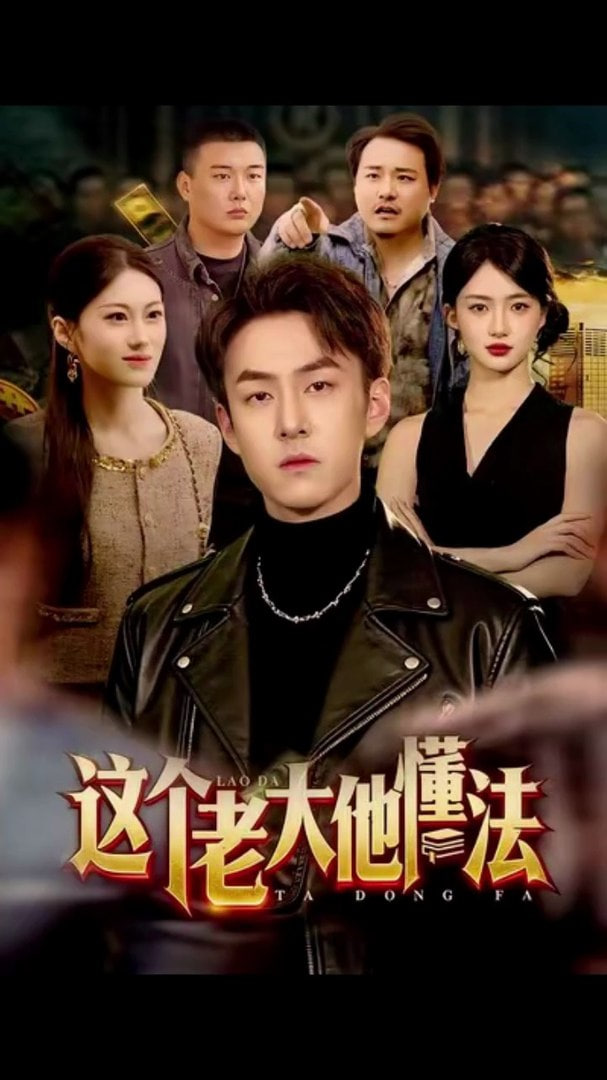 这个老大他懂法(全集)
