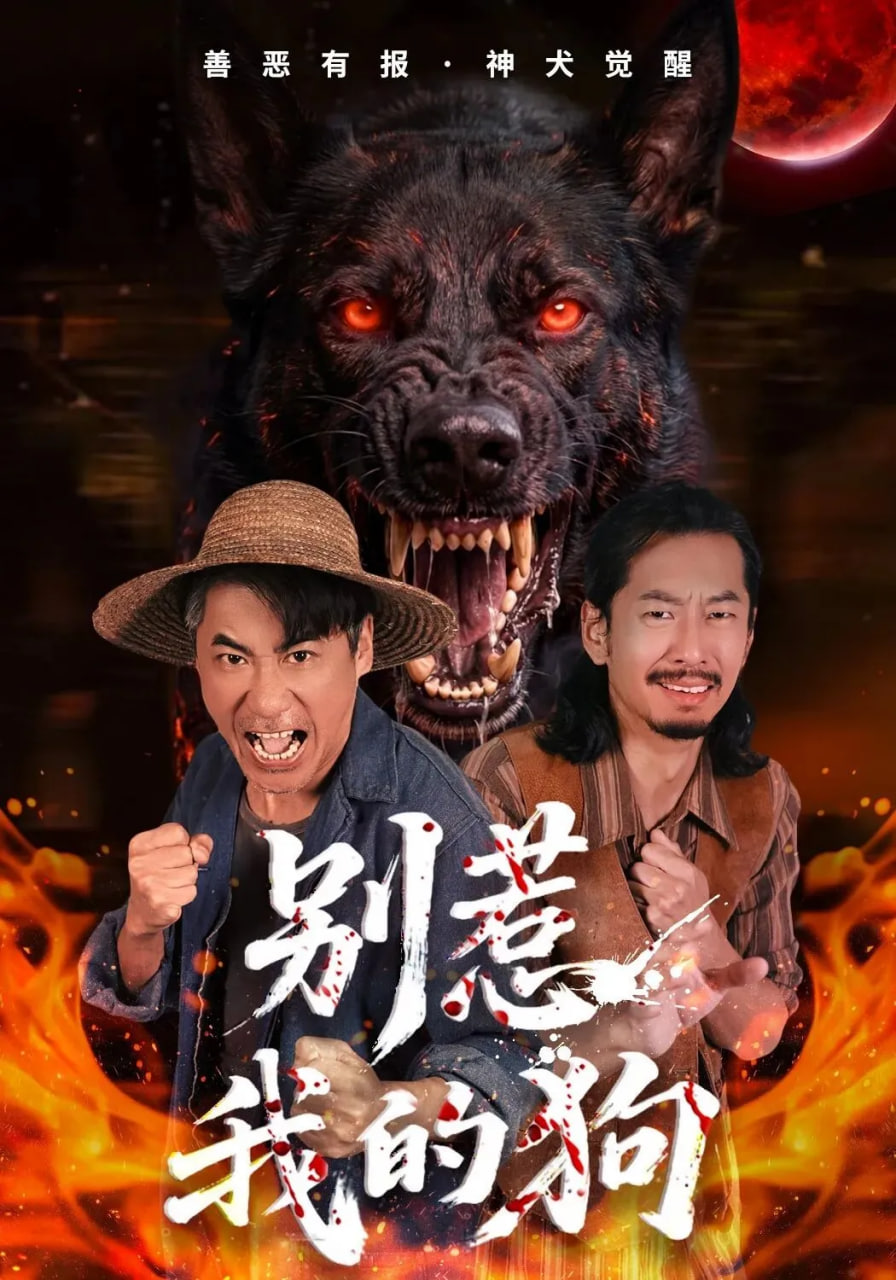 别惹我的狗(全集)