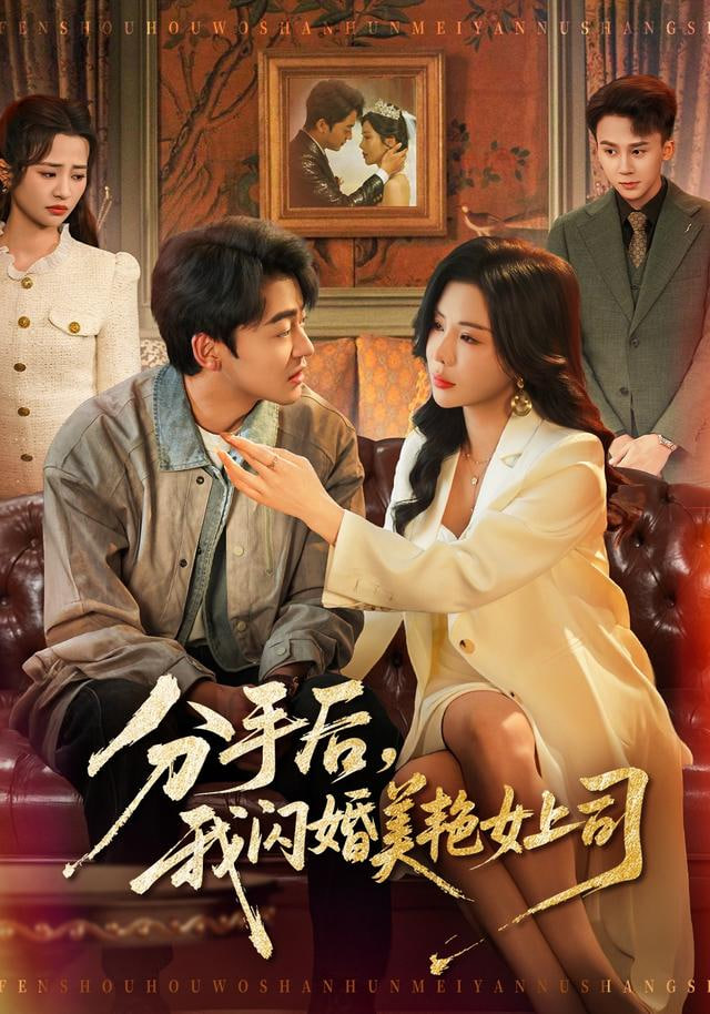 分手后，我闪婚美艳女上司(全集)