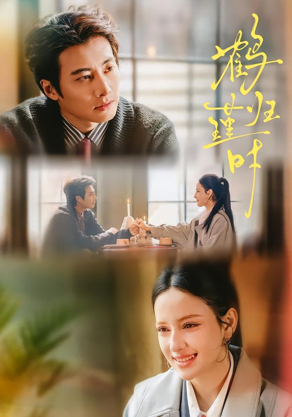 鹤归瑾时(全集)