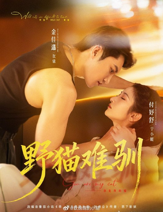 野猫难驯(全集)