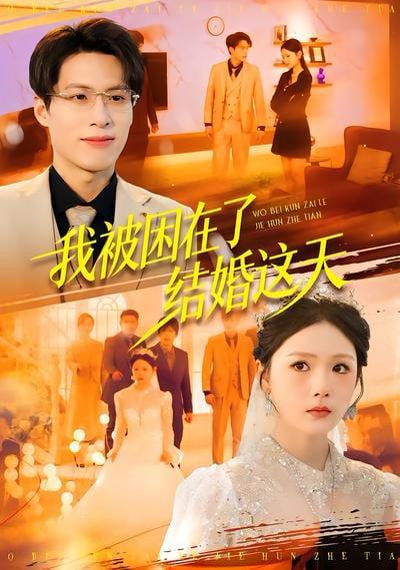 我被困在了结婚这天(全集)