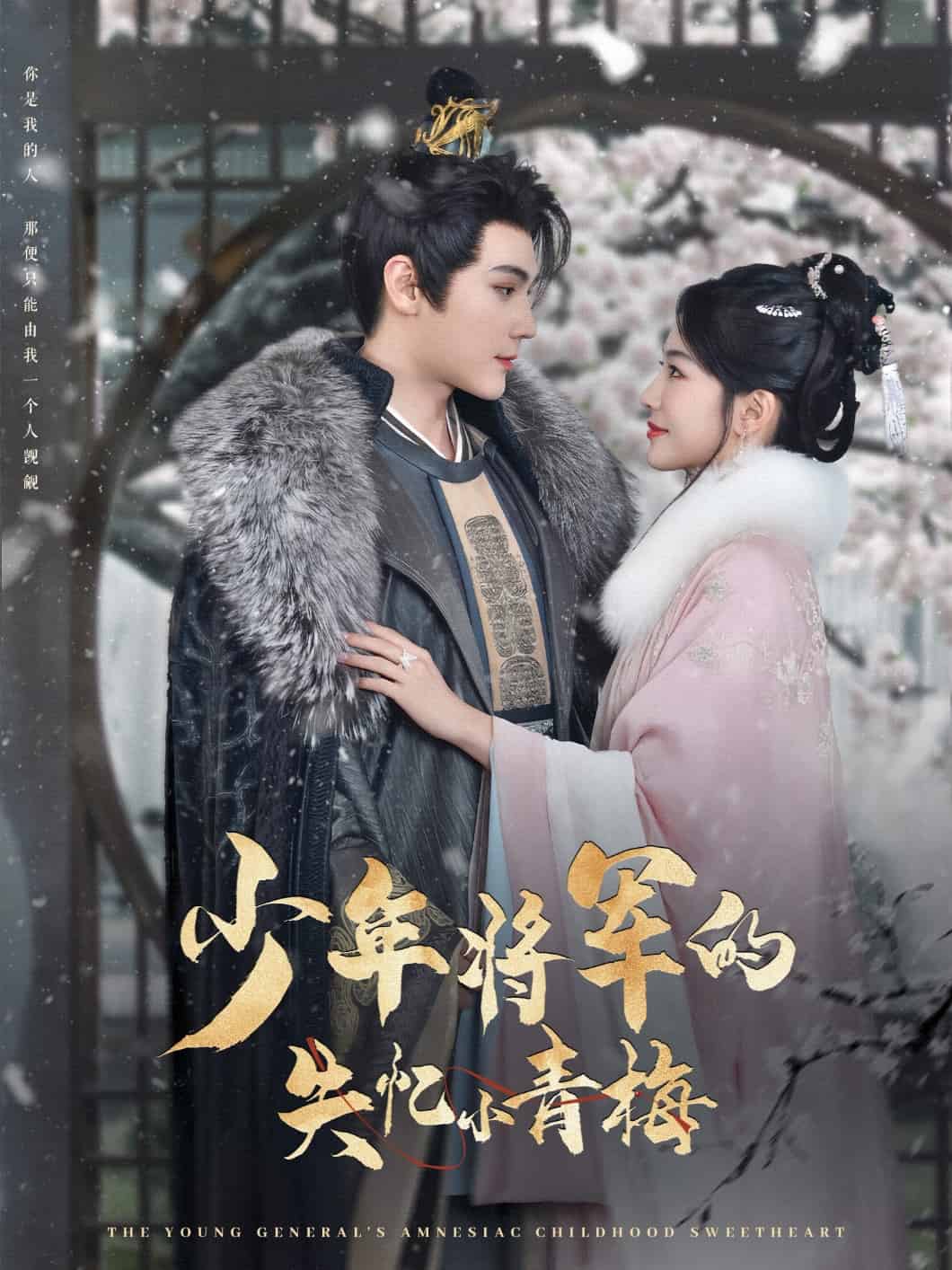 少年将军的失忆小青梅(全集)