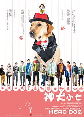 神犬小七第一季 第36集
