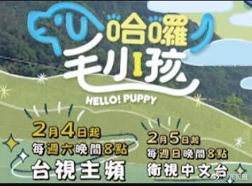 哈啰！毛小孩 20230204期