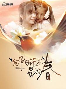 向阳花木易为春 第01集