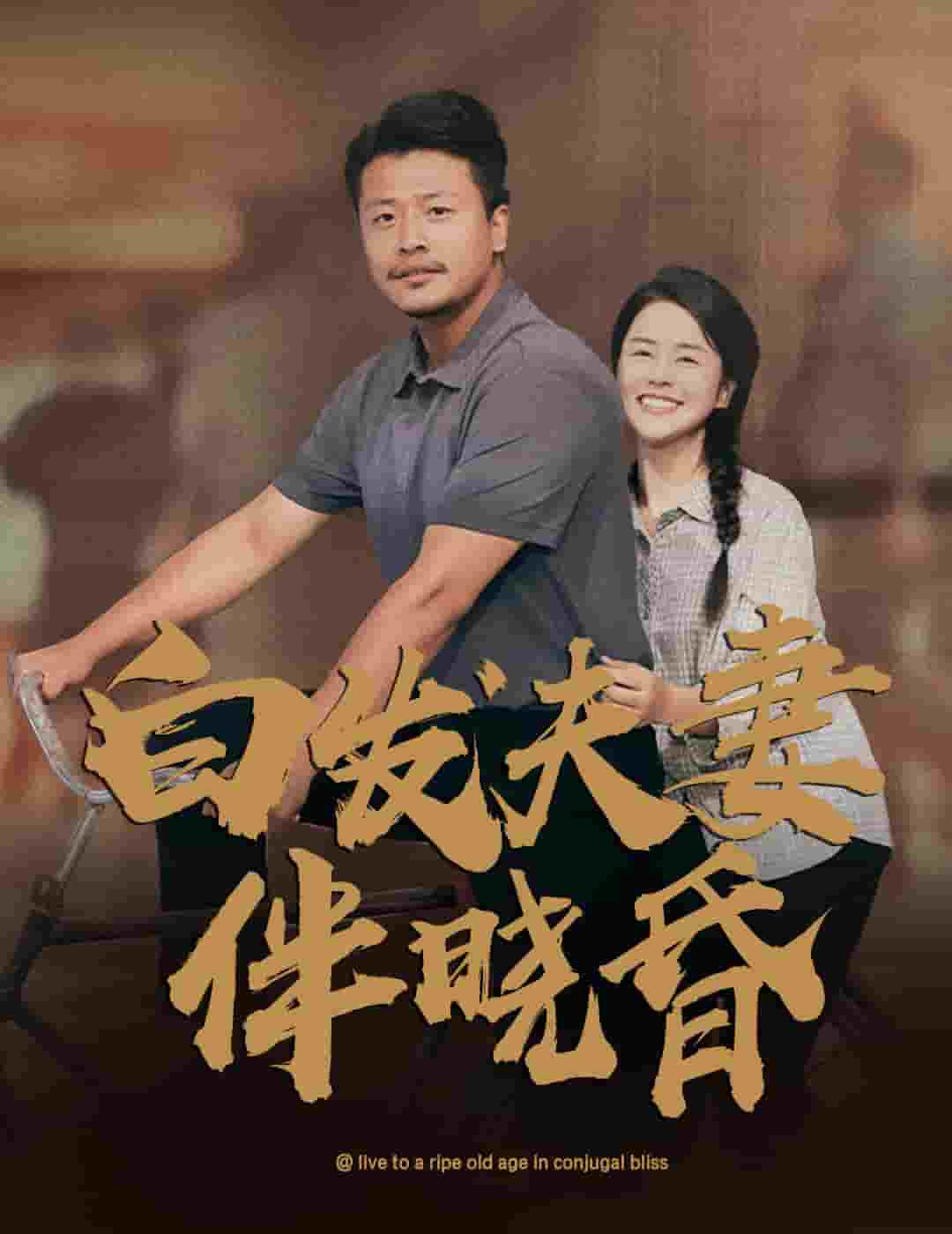 白发夫妻傍晓昏 第03集