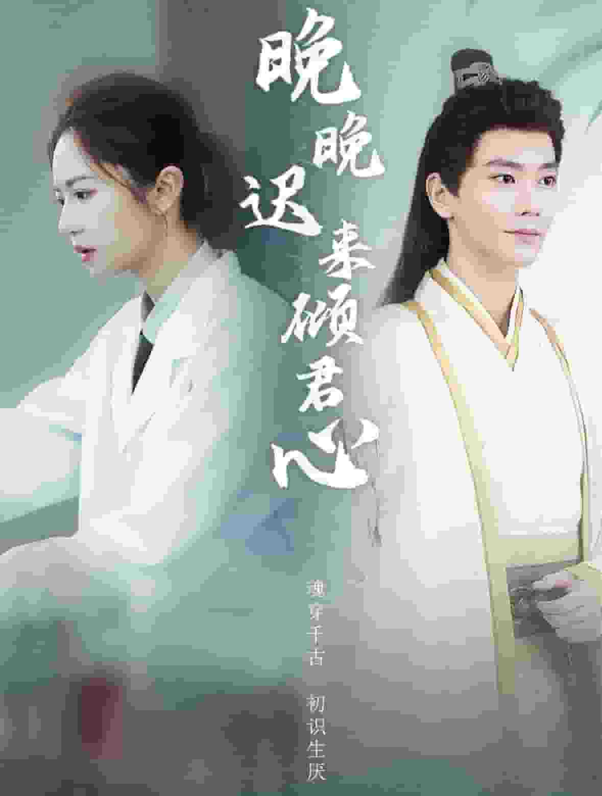 晚晚迟来倾君心 第01集