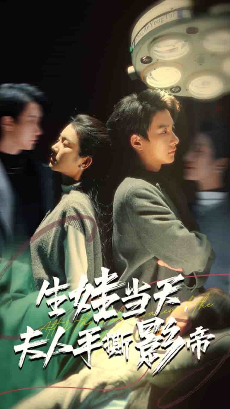 生娃当天夫人手撕影帝 第46集
