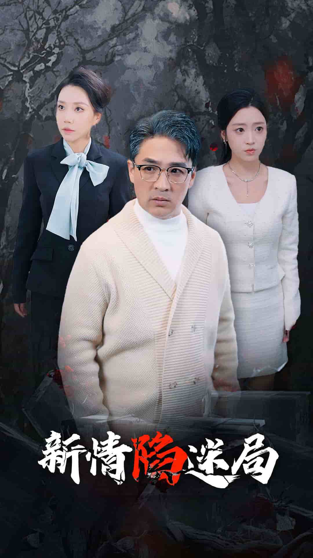 新情陷迷局 第04集