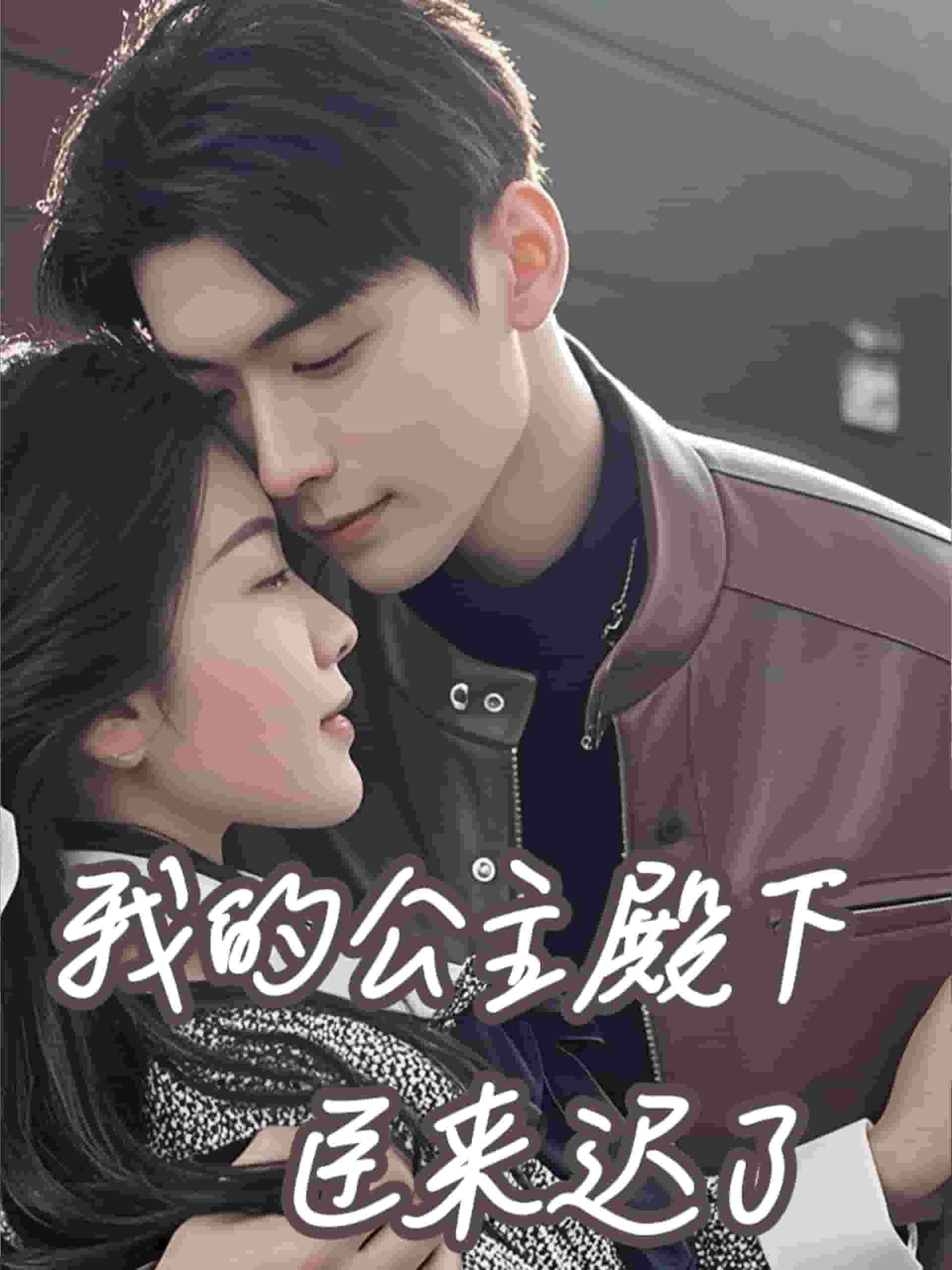 我的公主殿下臣来迟了 第01集