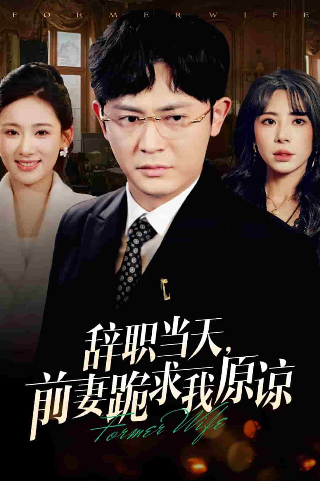 辞职当天前妻哭着求我原谅 第8集