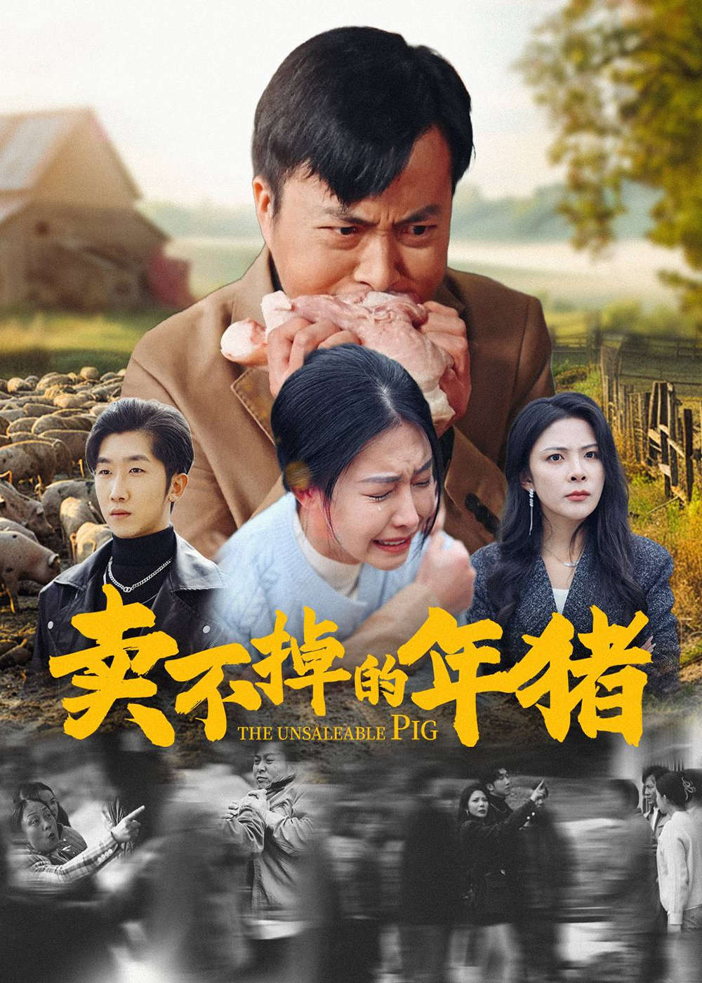 卖不掉的年猪 第28集