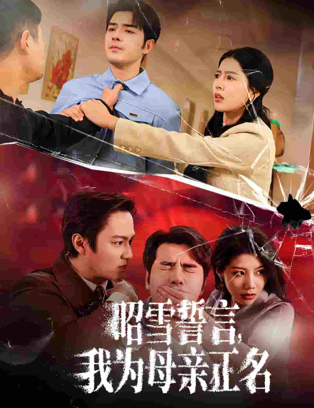 昭雪誓言我为母亲正名 第1集