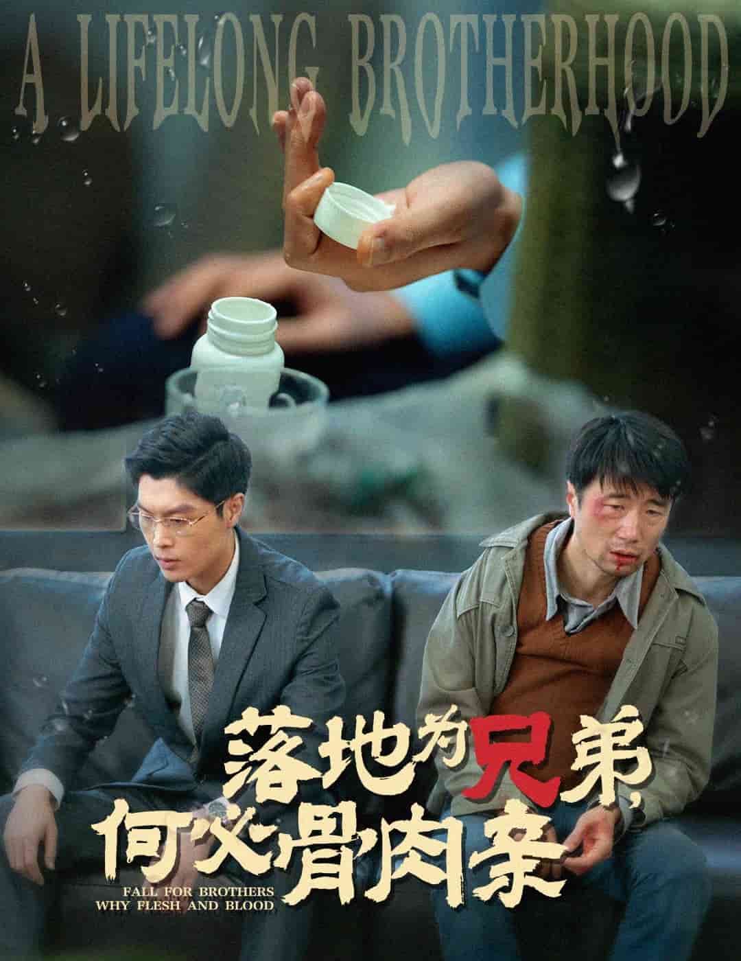落地为兄弟，何必骨肉亲 第5集