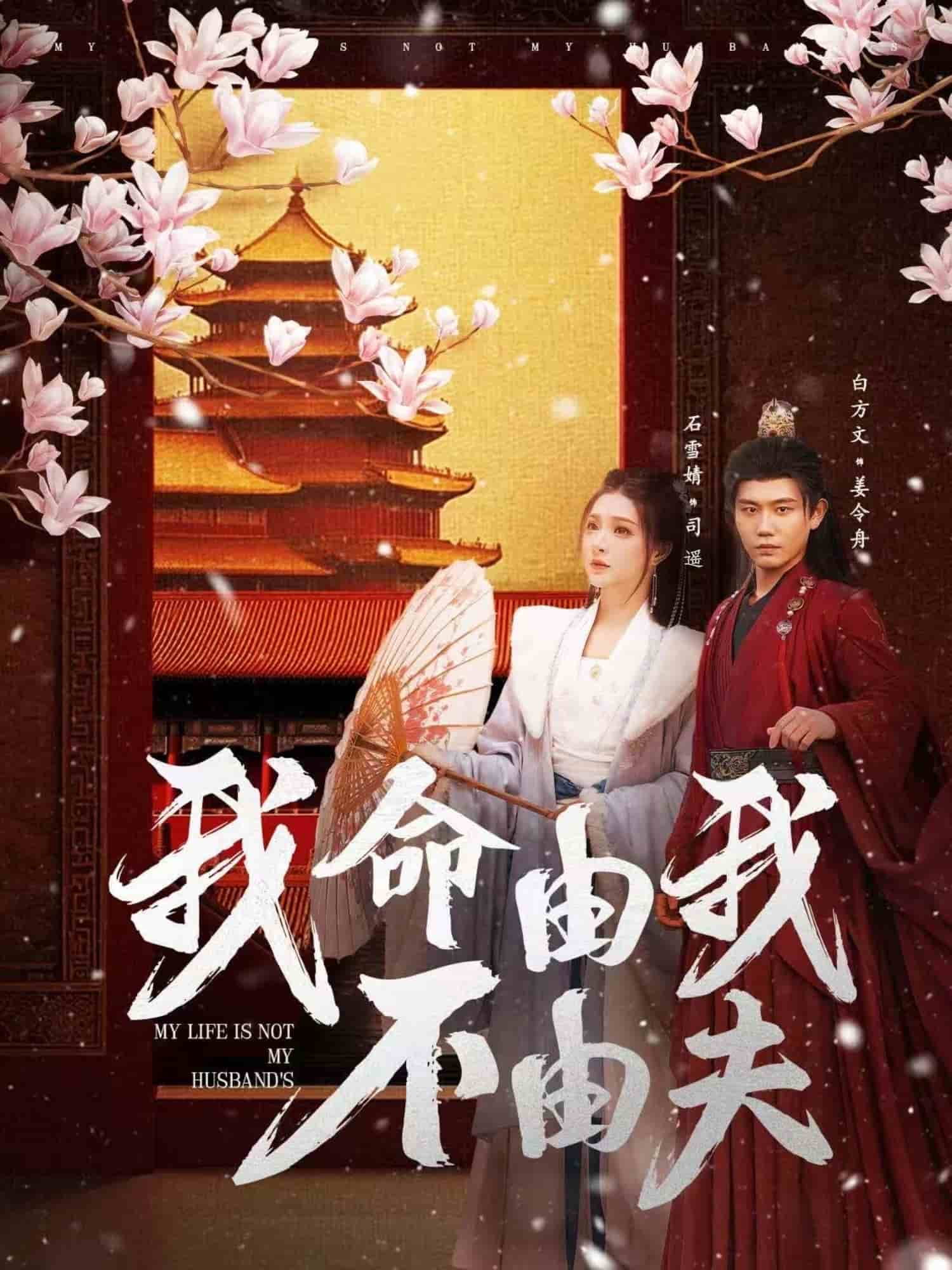 我命由我不由夫 第2集