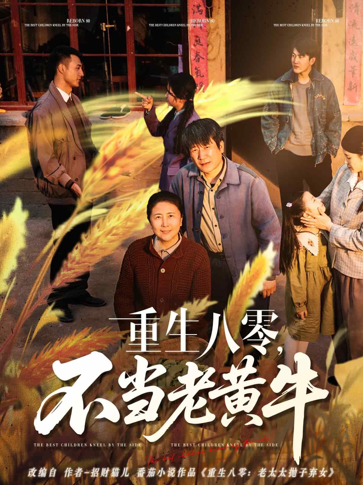 重生八零，不当老黄牛 第12集