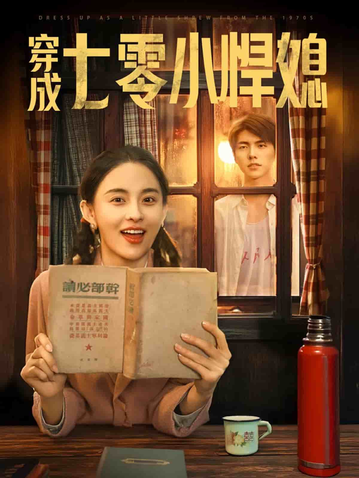 穿成七零小悍媳 第2集