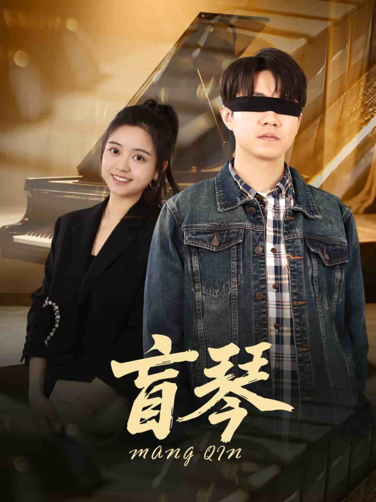 盲琴 第42集(大结局)