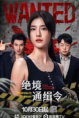 绝境通缉令 第13集