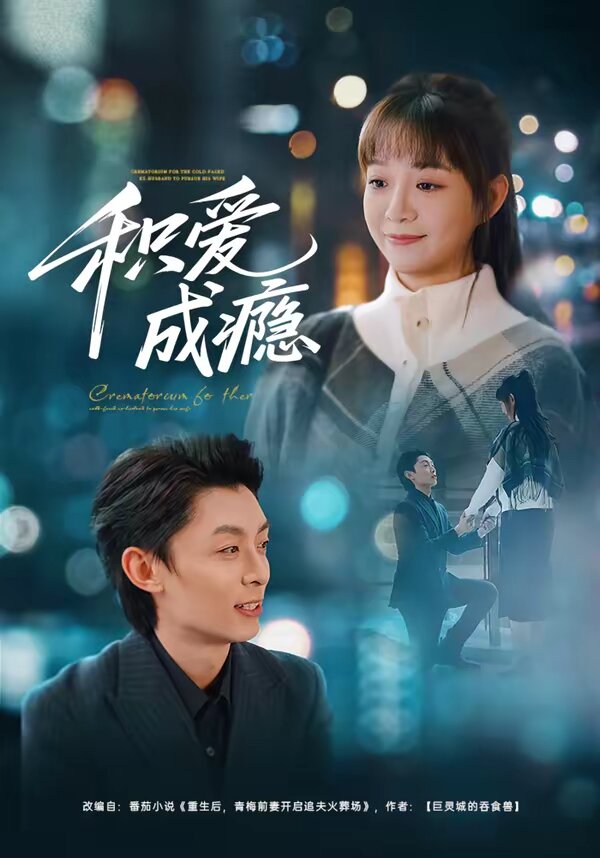 积爱成瘾 第13集