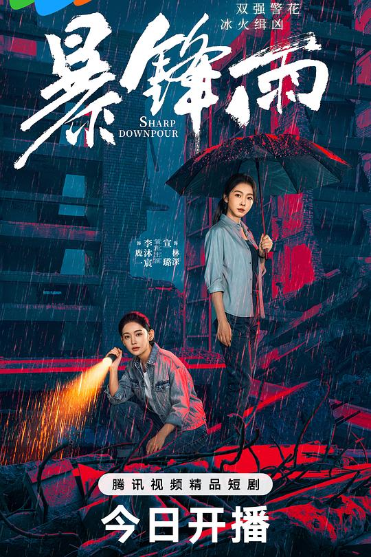 暴锋雨 第08集