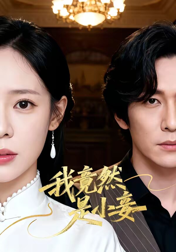 我竟然是小妾 第24集