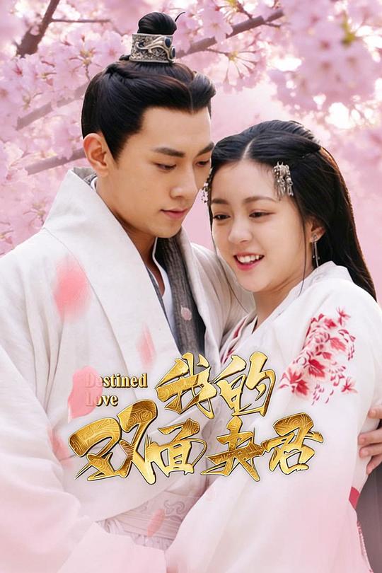 我的双面夫君 第18集(大结局)
