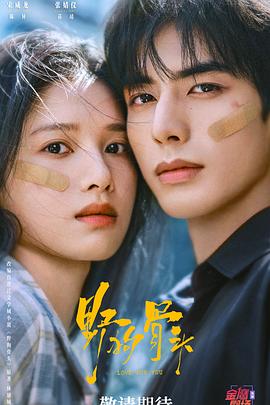 野狗骨头 第05集