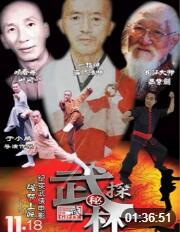 武林探秘(全集)