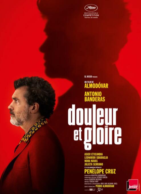 痛苦与荣耀(全集)