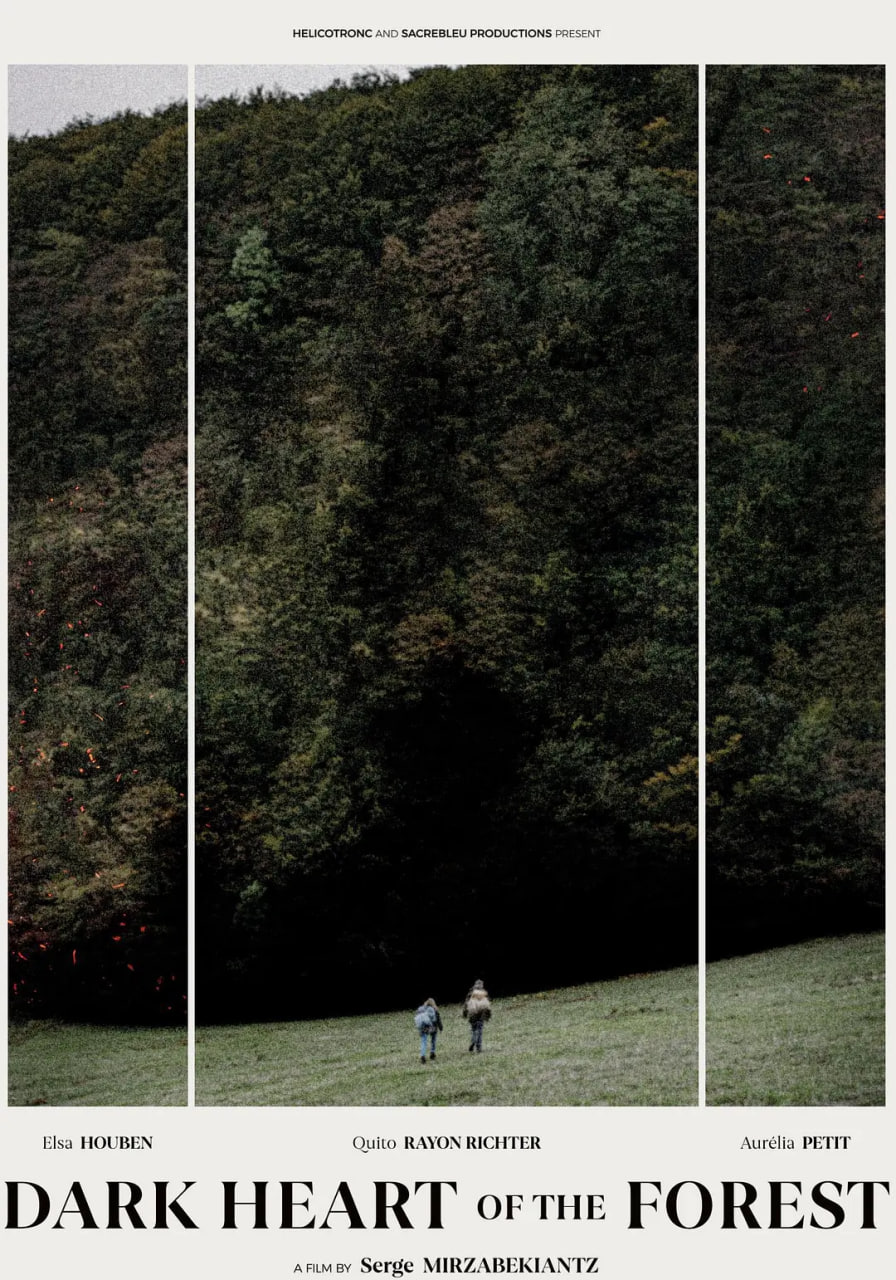 森林的黑暗心脏(全集)