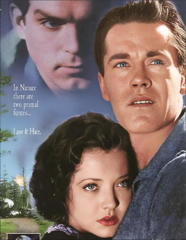 孤松林径(全集)