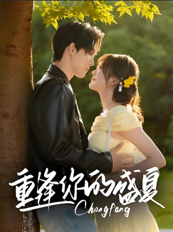 重逢你的盛夏(全集)