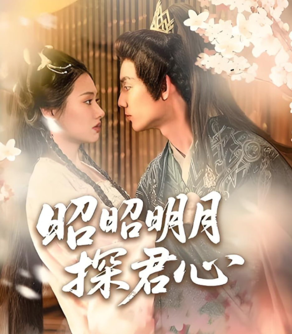 昭昭明月探君心(全集)