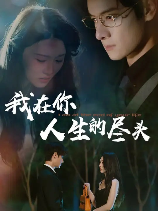 我在你人生的尽头(全集)