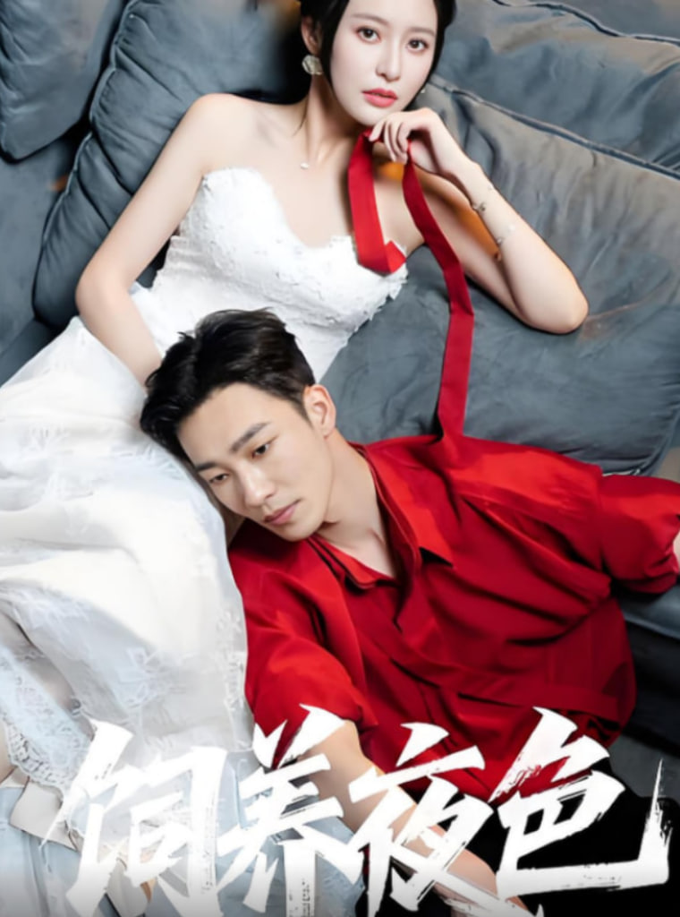 饲养夜色(全集)