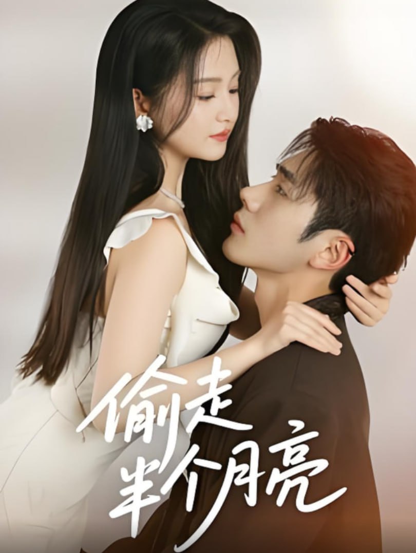 偷走半个月亮(全集)