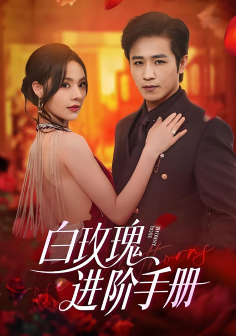 白玫瑰进阶手册(全集)