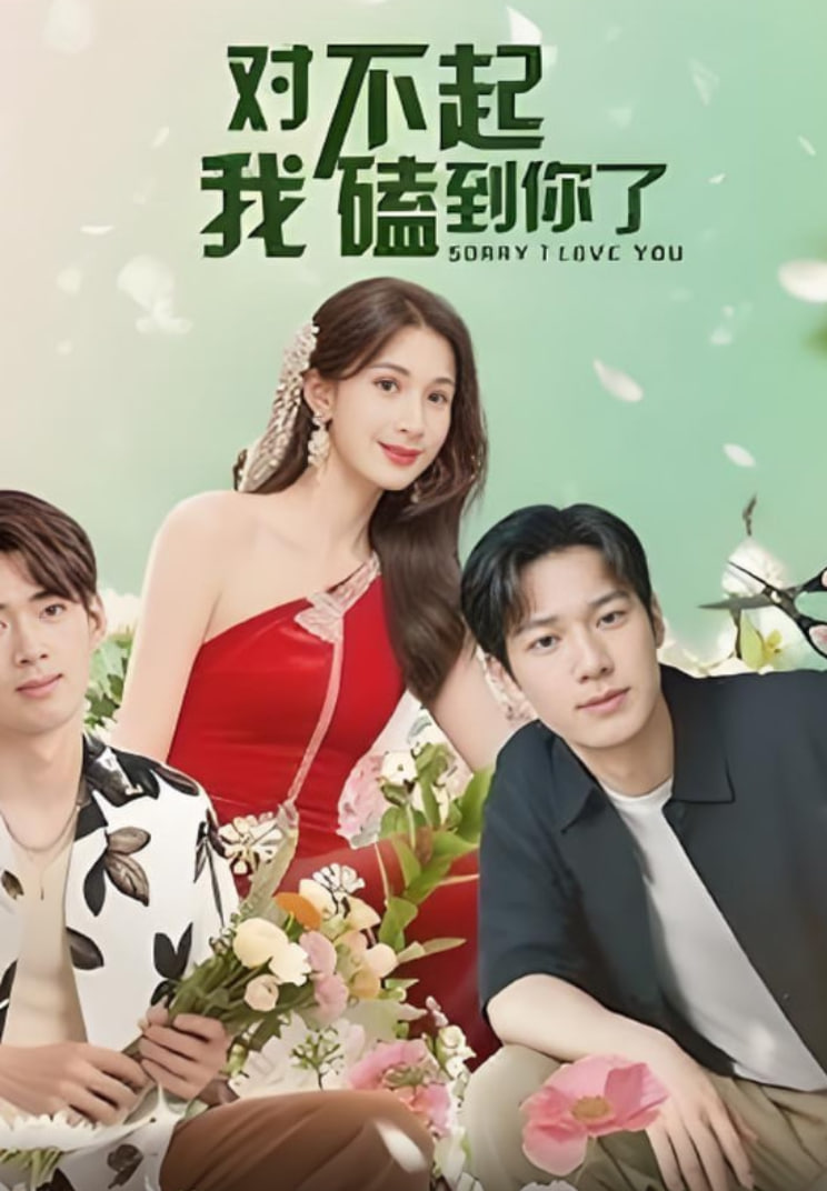 对不起我磕到你了(全集)