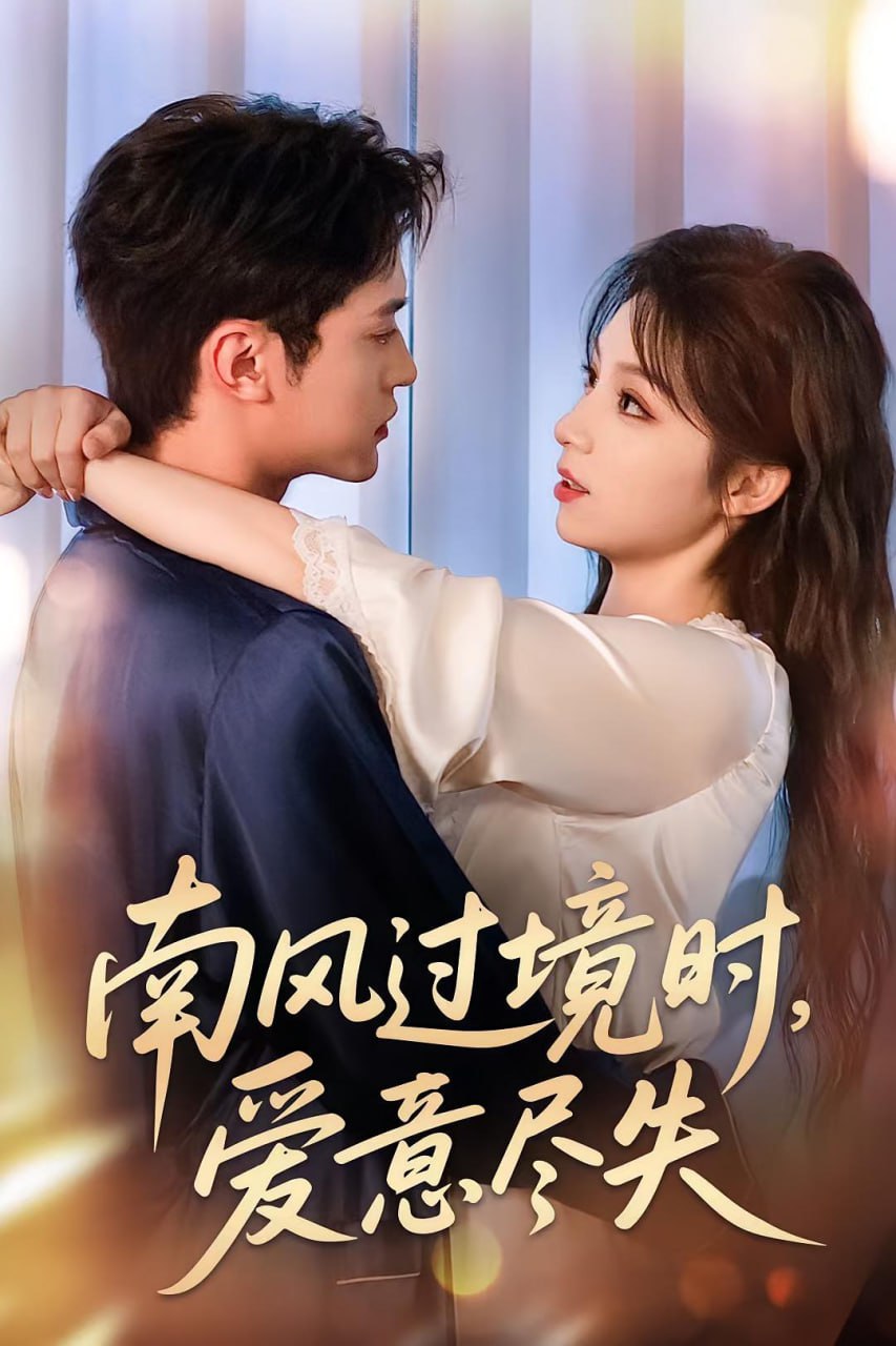 南风过境时爱意尽失(全集)