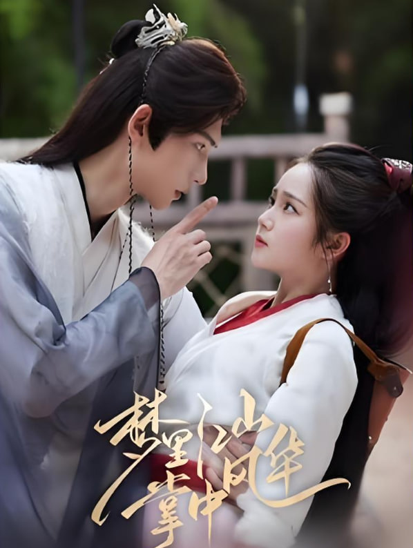 梦里江山掌中风华(全集)