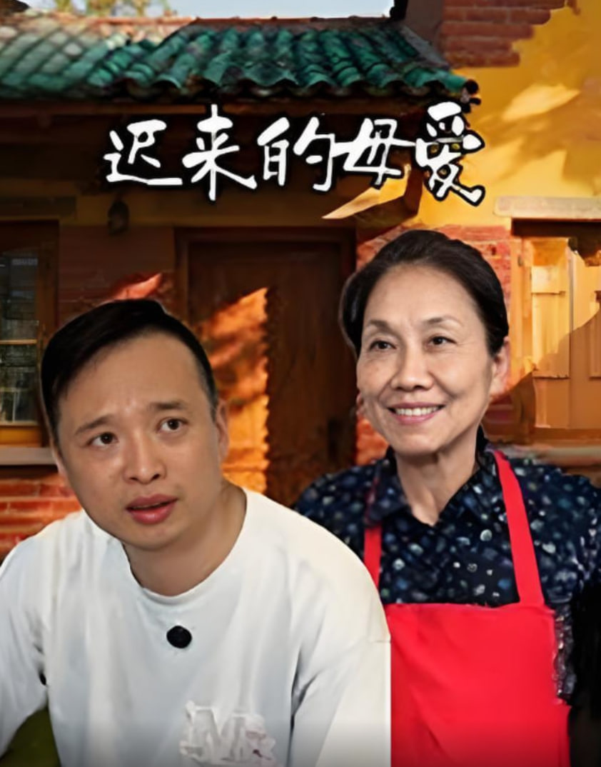 迟来的母爱(全集)