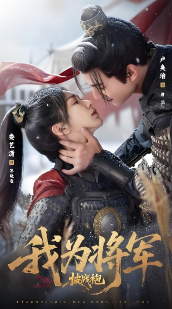 我为将军披战袍(全集)