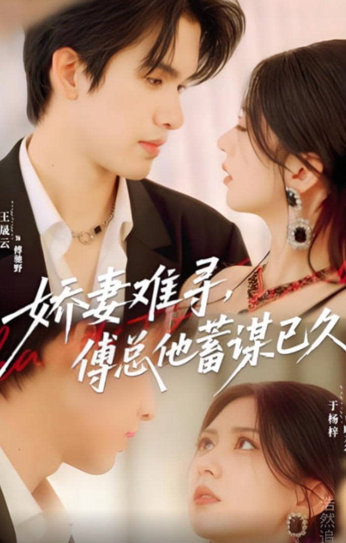 娇妻难寻，傅总他蓄谋已久(全集)